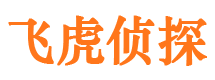 魏都侦探公司